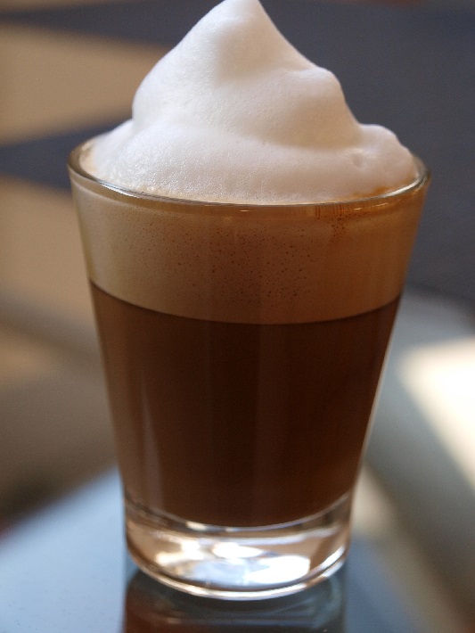 Milchaufschäumer - www.kaffeemaschine-infos.de